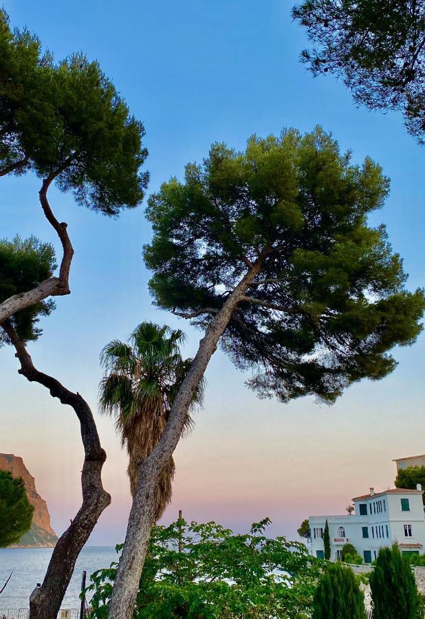 Le Jardin d'Emile Otel Cassis Dış mekan fotoğraf